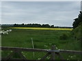 Farmland off Station Road