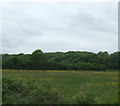 Farmland, Sudbrooke Farm