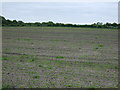 Farmland, Osgodby Moor