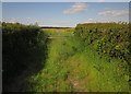 Field entrance near Ashton Windmill