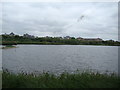 View of houses on Wyatt Drive from the London Wetland Centre #3