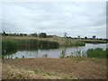 View of Fulham from the London Wetland Centre #3