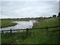 View of houses on Wyatt Drive from the London Wetland Centre #4