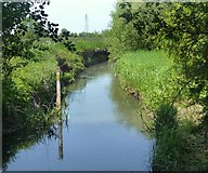 SU4595 : River Ock near Marcham Mill by Des Blenkinsopp