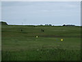 Bridlington Links Golf Course