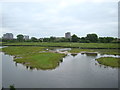 View of Charing Cross Hospital and Clifton and Golding Houses in Fulham from Peacock Tower in the London Wetlands Centre #2