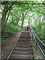 TA2170 : Steps in footpath up from Danes' Dyke by JThomas