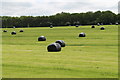 Wrapped Bales off Honey Pot Lane