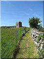 Well cared for access path to Moyry Castle