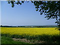 View from Hermitage Road, Higham