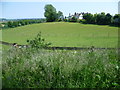 Hillyfield near Higham