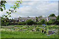 Duckmore Lane Allotments, Tring