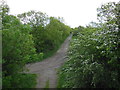 The former rail line from Colehouse Bridge