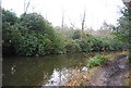 Basingstoke Canal