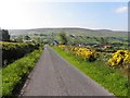 Road at Oughtdoorish