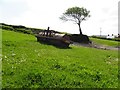 Roller and tree, Glenchiel