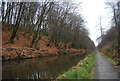 The Deepcut, Basingstoke Canal