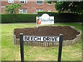 Beech Drive, where are the flowers?