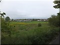 Staplake Brook valley west of Starcross