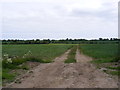 TM4482 : Field entrance off Common Road by Geographer