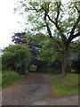 Footpath and drive to Coombe House