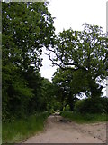 TM4583 : Footpath off Southwell Lane by Geographer
