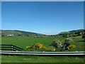 Farmland in the Flurry River Valley