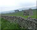 SD8589 : Drystone wall and field barns by Russel Wills