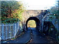 Under North Somerset railway junction, Bristol