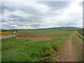 NT7276 : East Lothian Landscape : A View Back From The Bottom Of The Track by Richard West