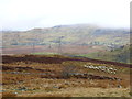 West of Moel y Garth