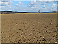 NZ0666 : Farmland north of Nafferton Farm (2) by Mike Quinn