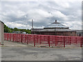 Livestock market at Scots Gap