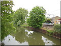 The River Stort Navigation, Roydon