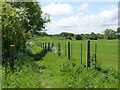 Footpath alongside the railway