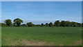 TM4778 : Arable field near Wangford Hill by Roger Jones