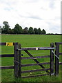 Path to Rocklane Farm