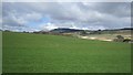 Grassland, Auchmuir