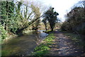 TQ5668 : Darent Valley Path by the River Darent by N Chadwick
