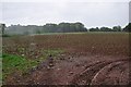 North Somerset : Ploughed Field