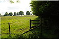 Footpath south of Leith Hill Place Wood