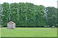 North Somerset : Grassy Field