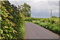 Bath and North East Somerset : Country Road