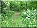 Path leading on to Sevenoaks Common