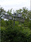 TM4584 : Roadsign on Southwell Lane by Geographer