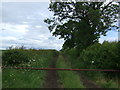 Farm track off Gainsborough Road