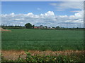 Farmland towards Westbrecks Farm