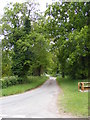 TM4584 : Southwell Lane, Sotterley by Geographer