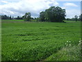 Farmland north of Rampton