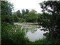 View of a lake in Wanstead Park #3